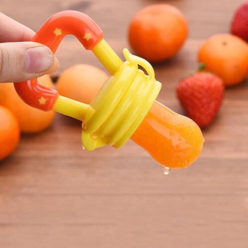 Fruit Pacifier