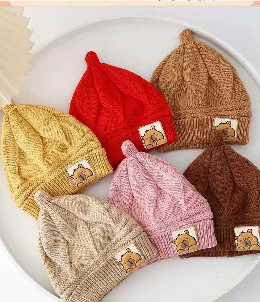 Woolen caps (Random Colour)