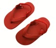 Summer Flip Flop