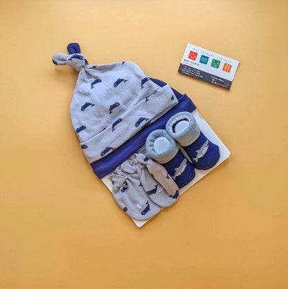 Hudson baby cap & bib set